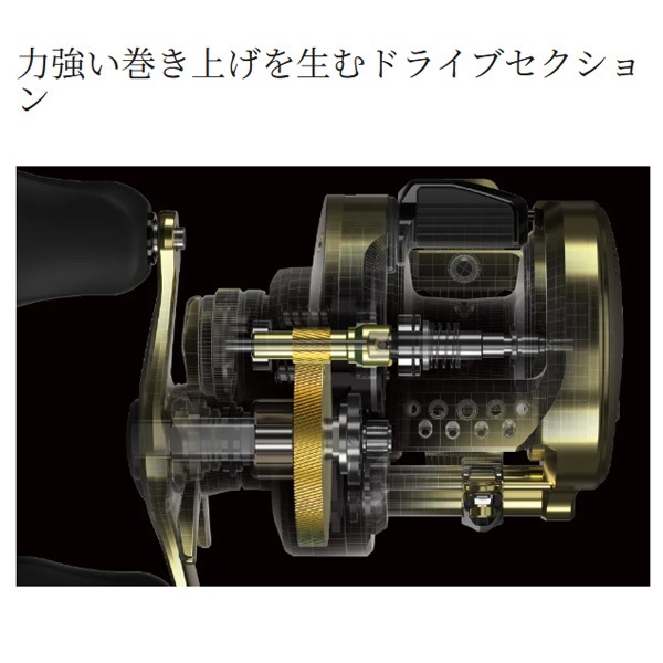 22カルカッタコンクエスト